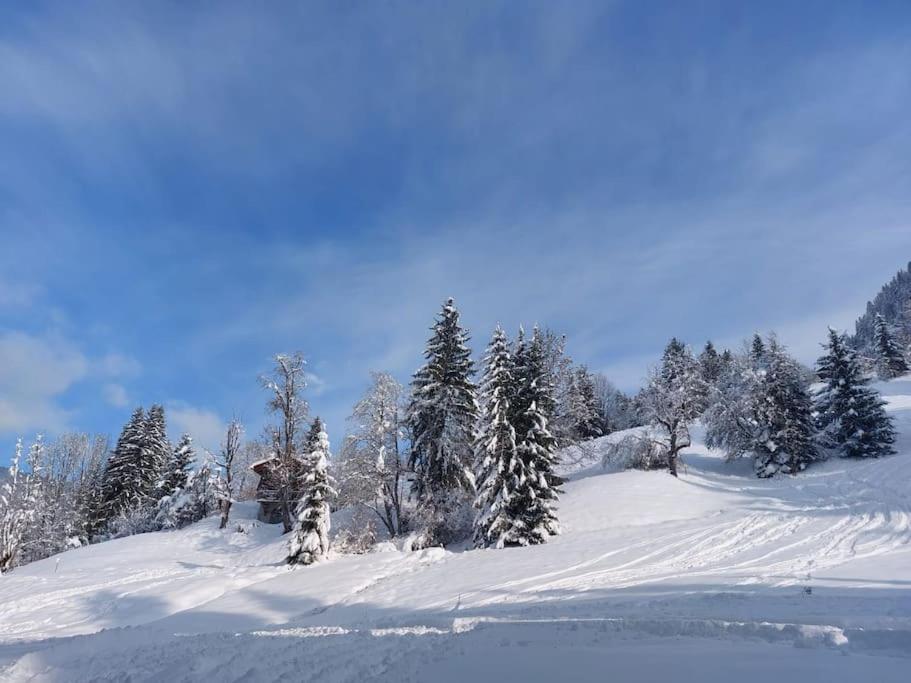Appartamento Di Charme Praz-sur-Arly Luaran gambar