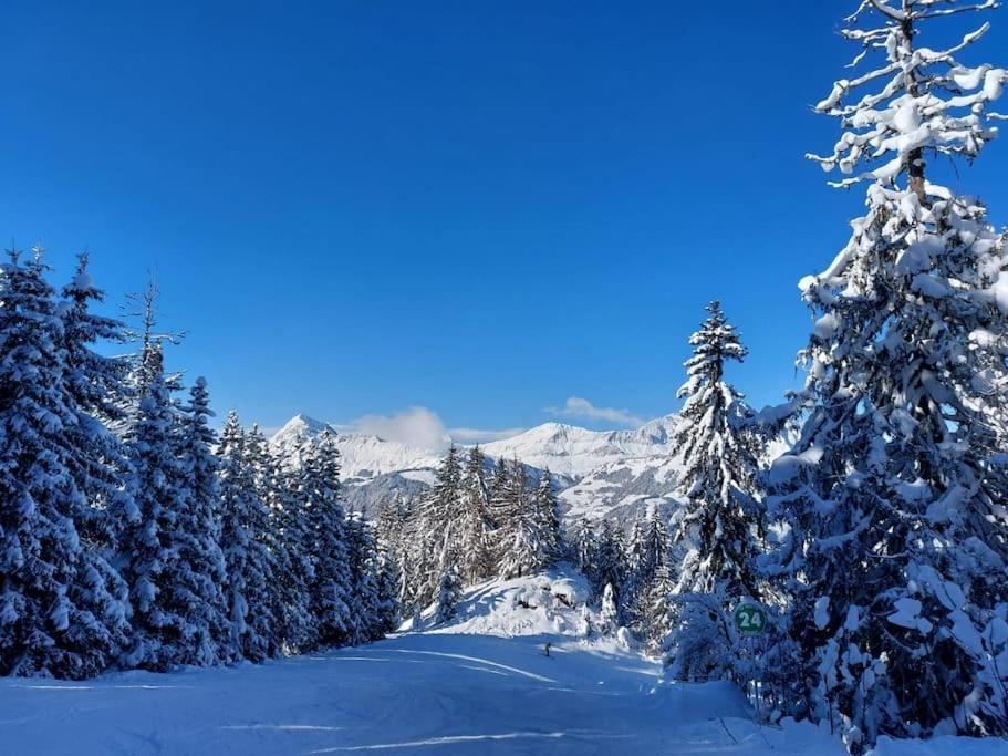 Appartamento Di Charme Praz-sur-Arly Luaran gambar